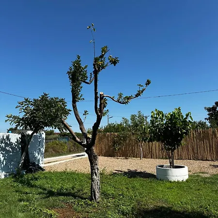 بيت ضيافة Family Nest *